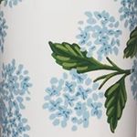 Gloss Cream Hydrangea