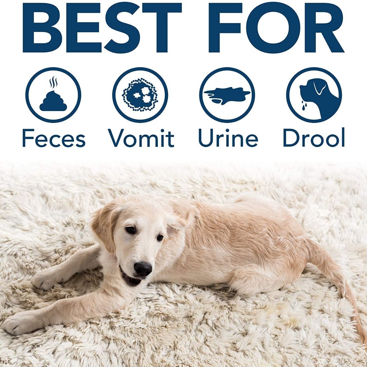 SIMPLESOLUTION-SS8-3