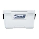 Hielera Coleman Serie 316